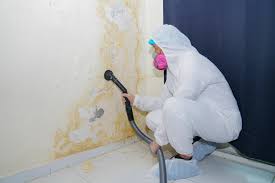 Best Mold Removal for HVAC Installations in Washington, NJ